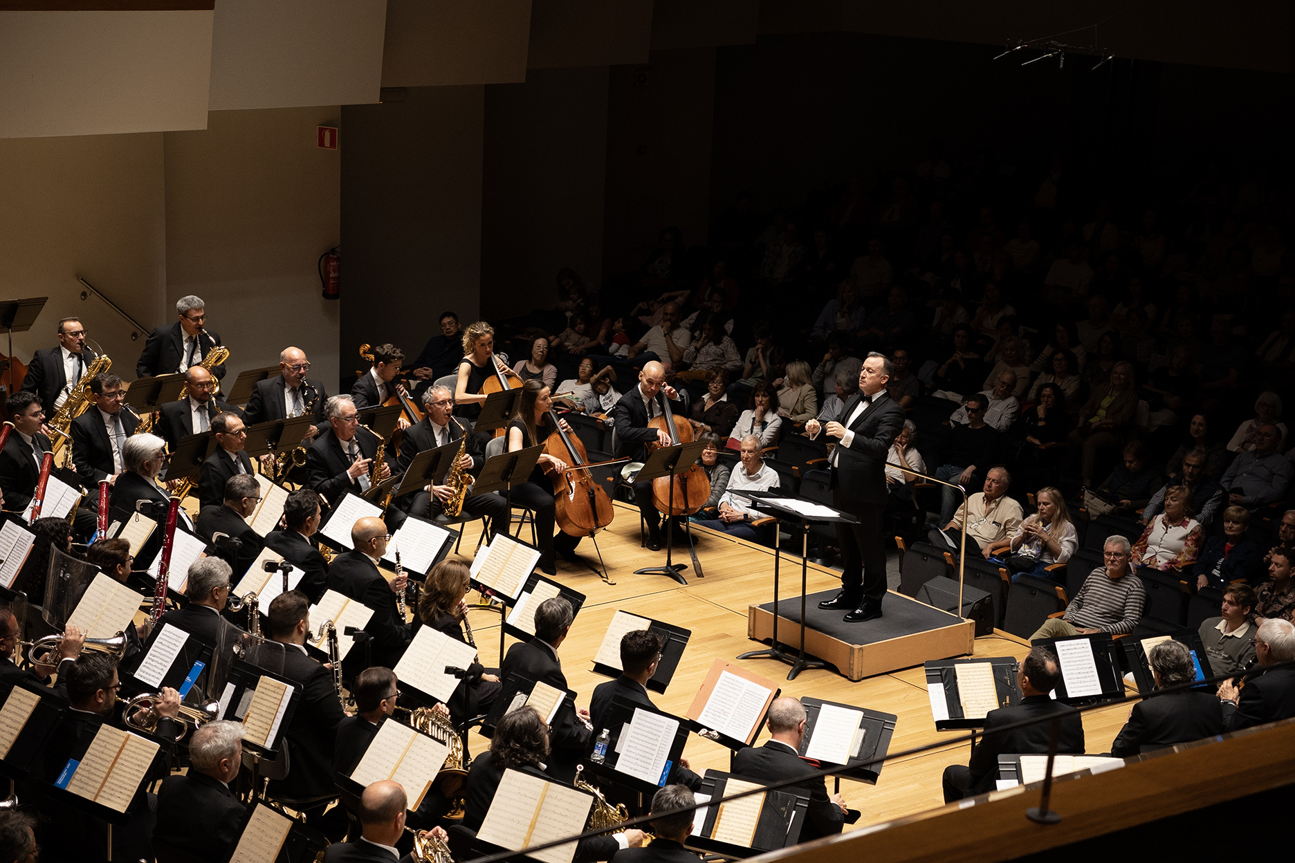 Fundacion Colisee 1 1